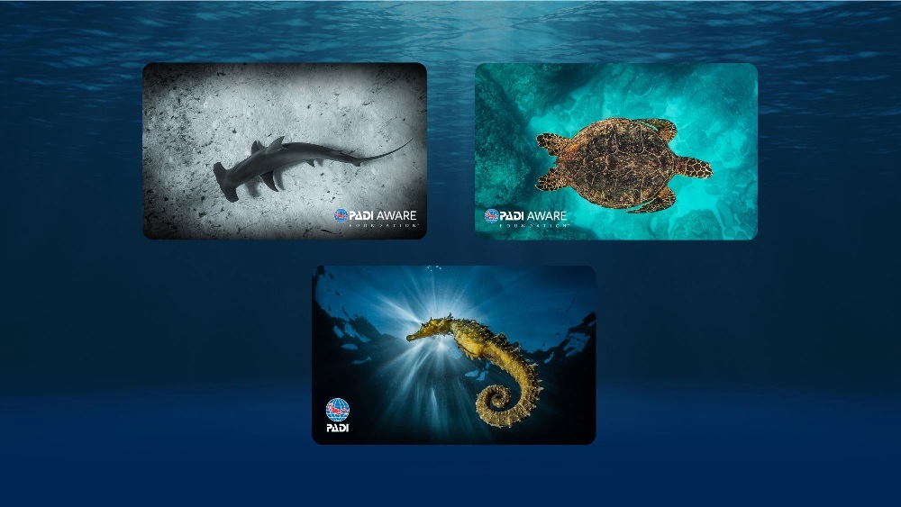 certi_card_02
