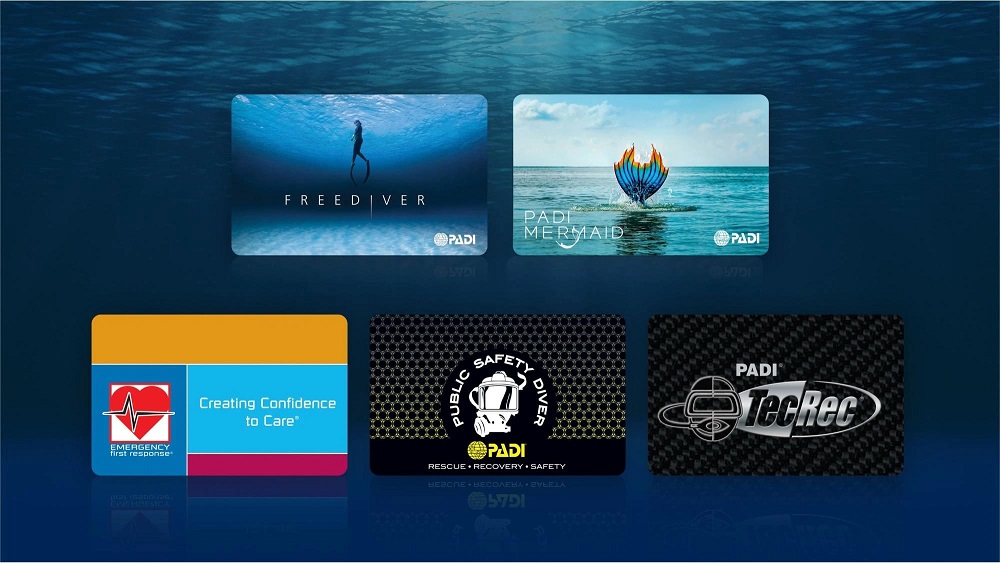 certi_card_04
